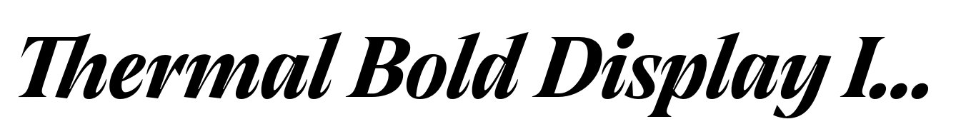 Thermal Bold Display Italic